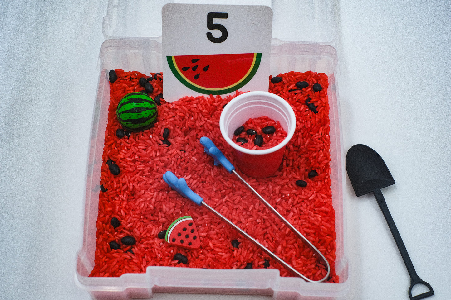 Watermelon Mini Sensory Bin