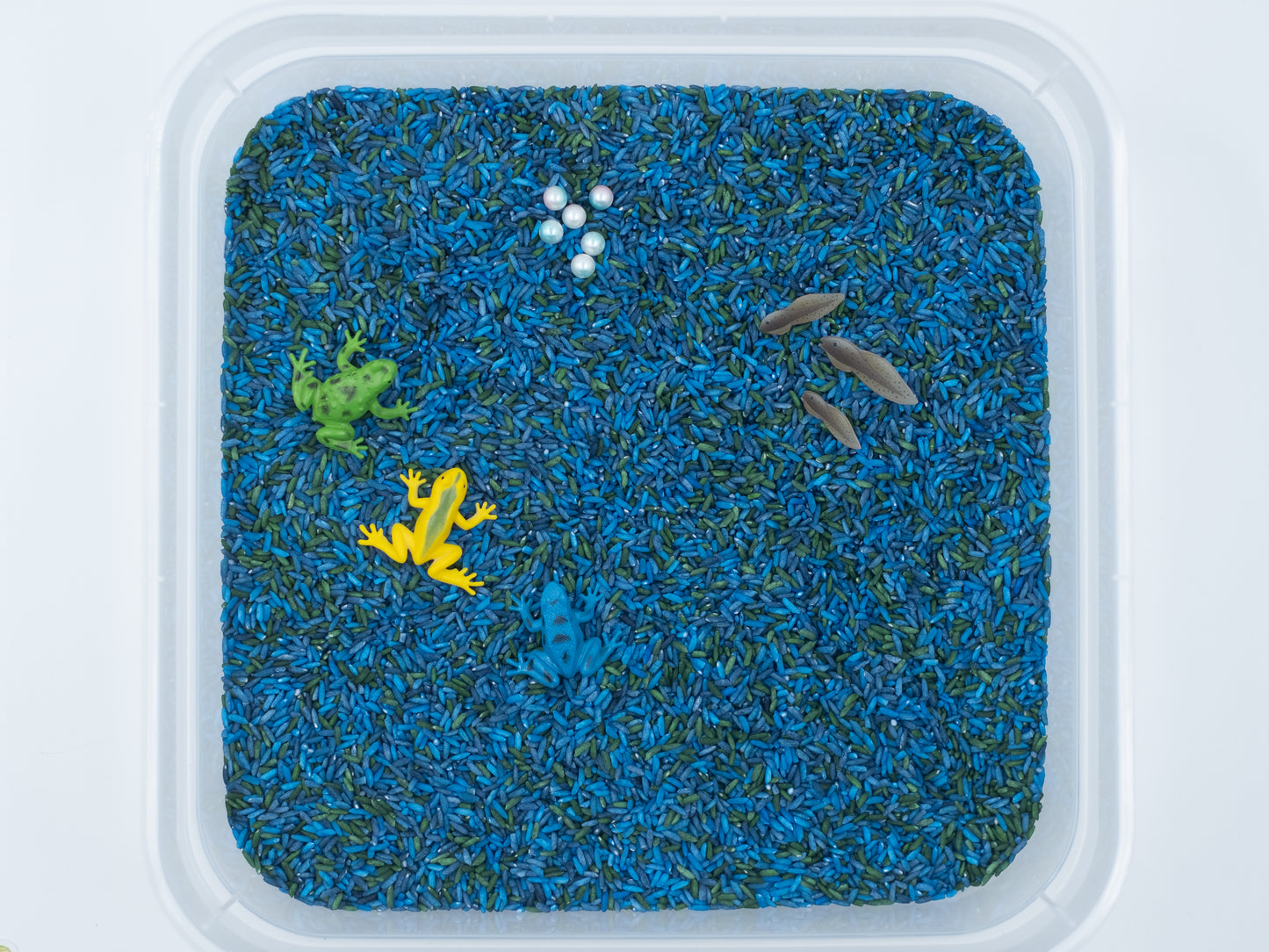 ABC Frog Pond Sensory Bin Nature Sensory Bin