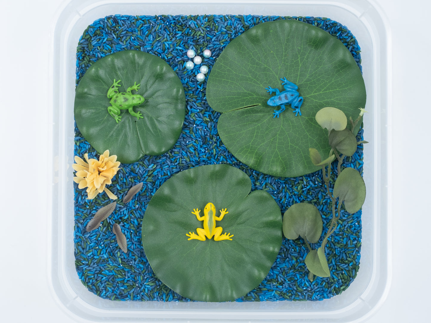 ABC Frog Pond Sensory Bin Nature Sensory Bin