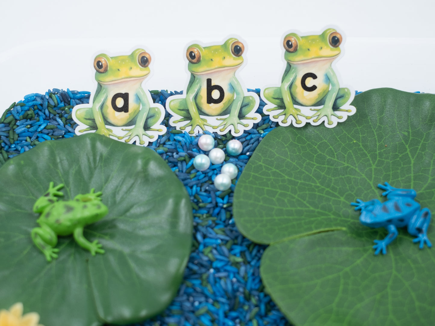 ABC Frog Pond Sensory Bin Nature Sensory Bin