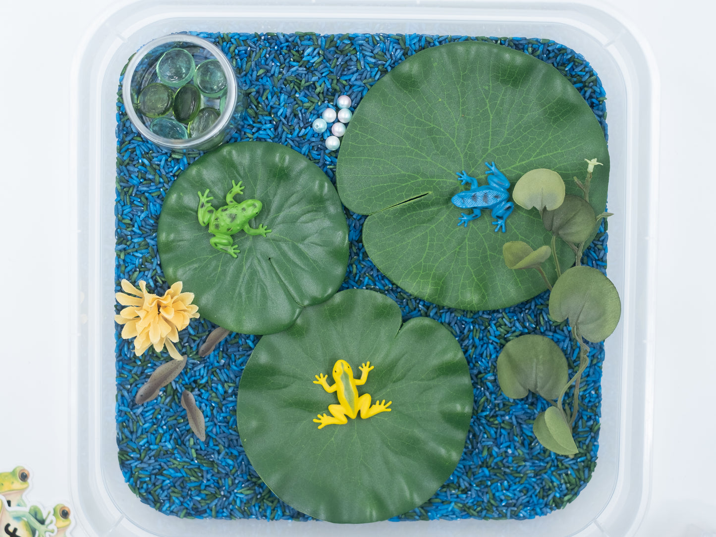 ABC Frog Pond Sensory Bin Nature Sensory Bin