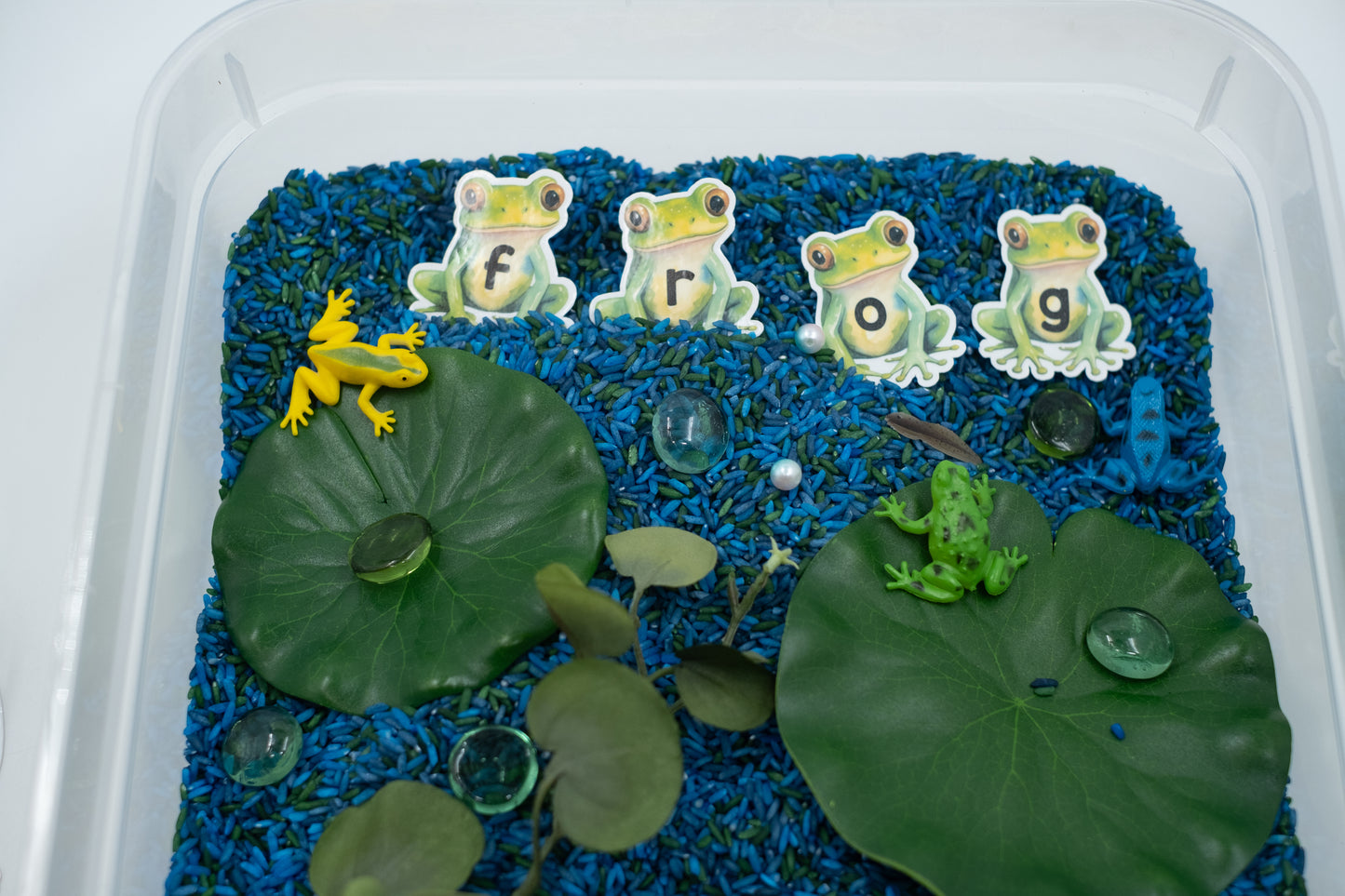 ABC Frog Pond Sensory Bin Nature Sensory Bin