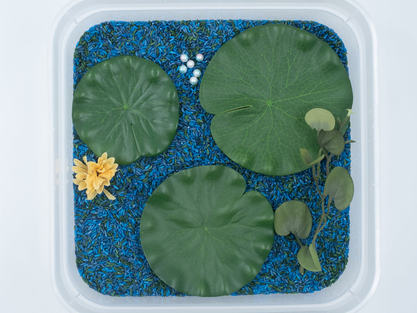 ABC Frog Pond Sensory Bin Nature Sensory Bin