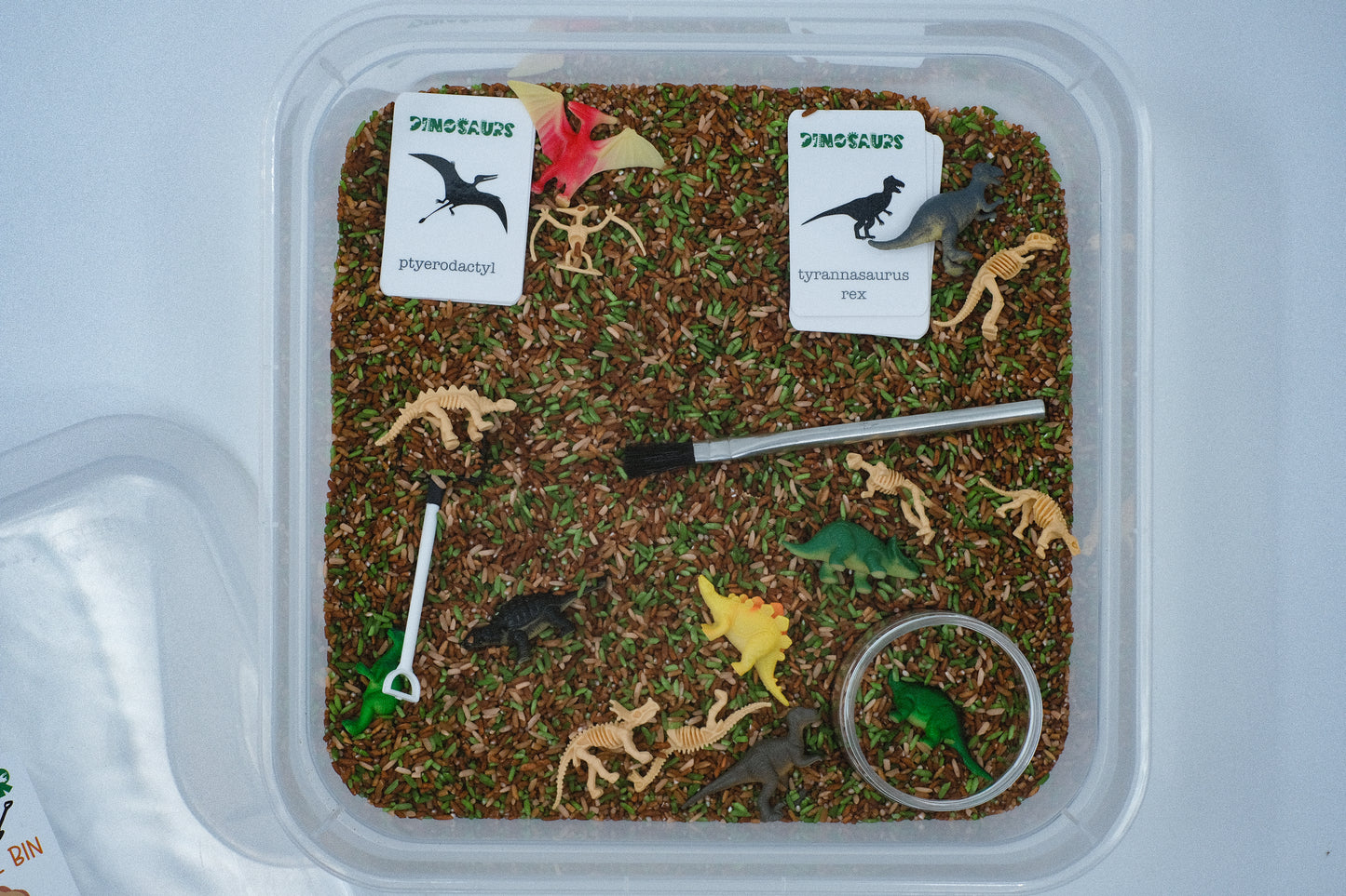 Dino Dig Sensory Bin